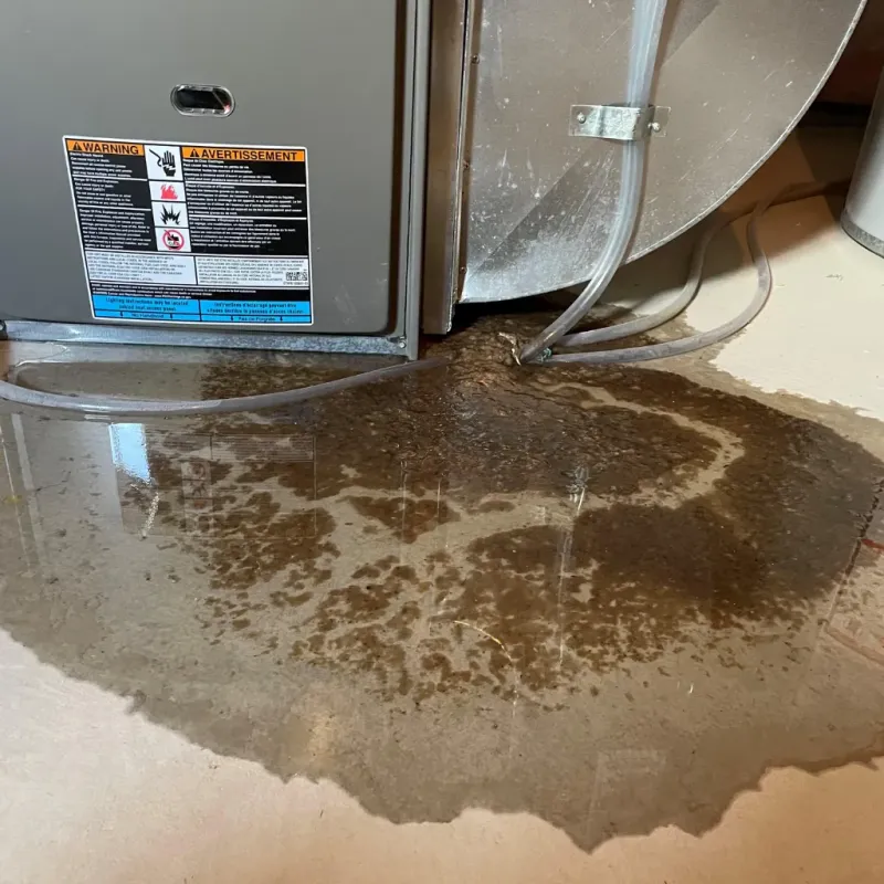 Appliance Leak Cleanup in Flat Rock, NC